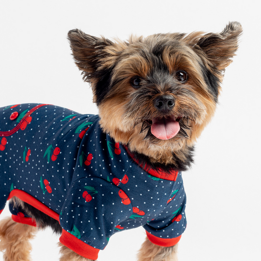 🍒 Cherry Fruit Dog Pajamas – Soft & Cozy Velcro Onesie for Pets