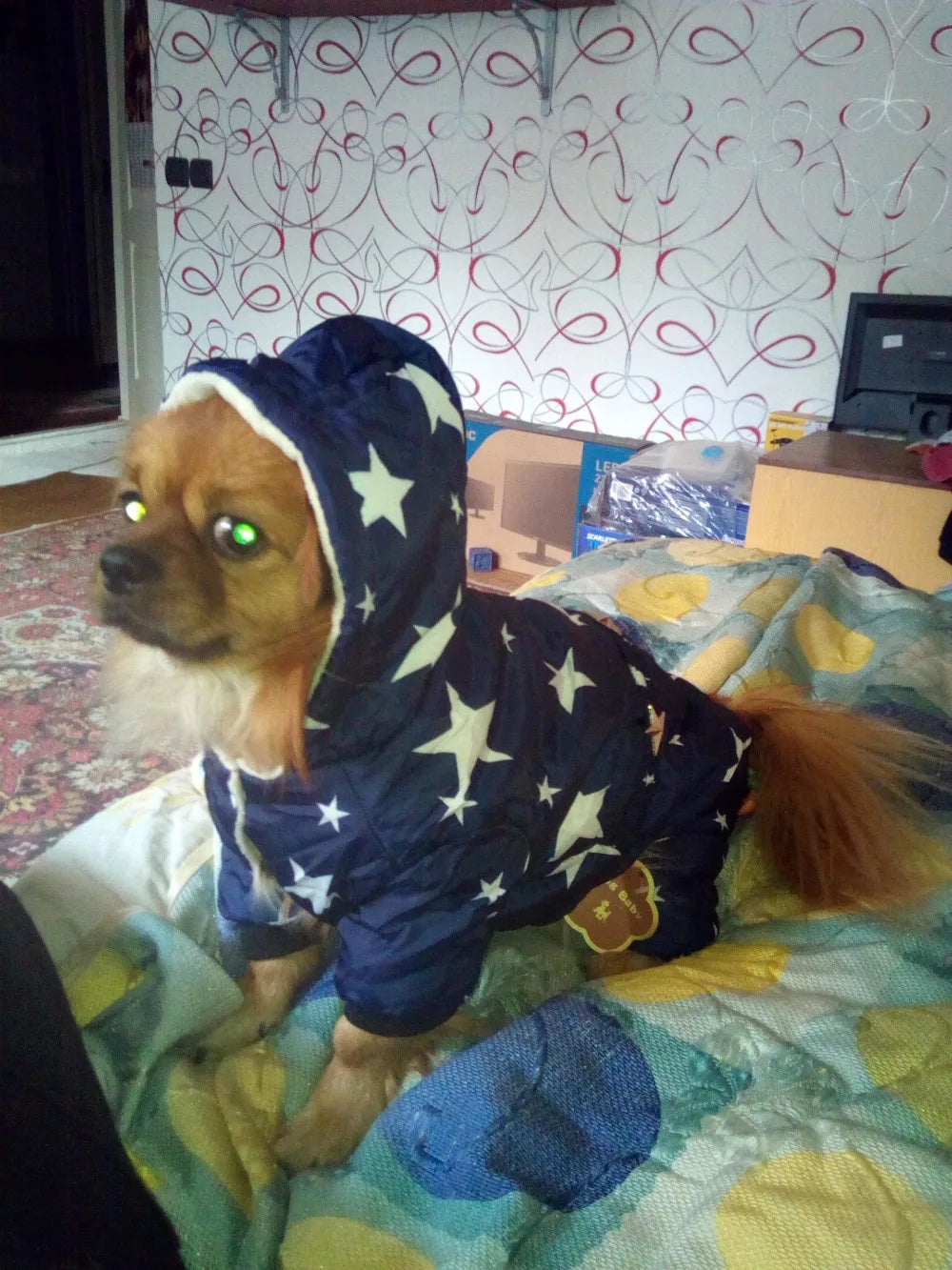 Pets Dog Clothes - Cotton Winter Warm Thicken Hoodie for Puppies