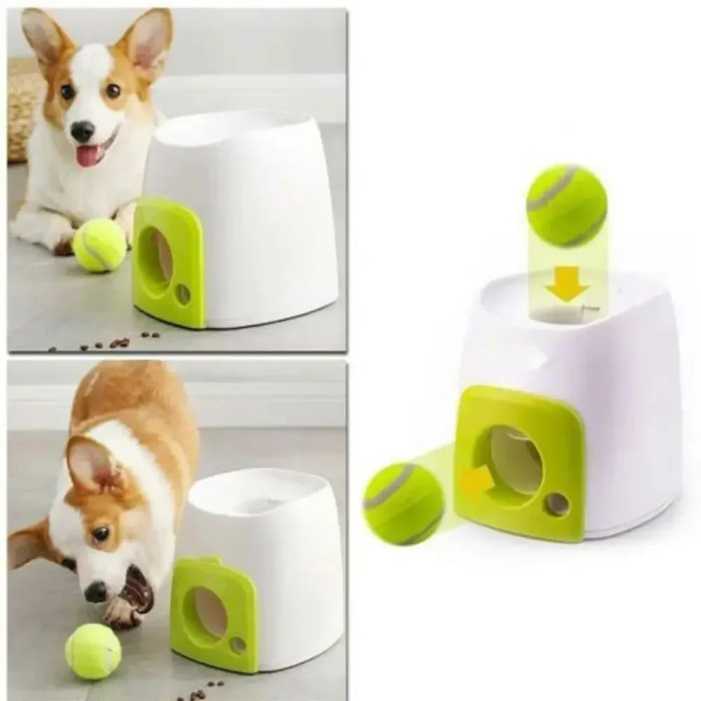 Ball Thrower Training Maching Cats Dogs Toy Interactive with 1pcs Ball Food Reward Machine Smart Feeder Throwing Mmachine Pet Ball Thrower Dog Training
