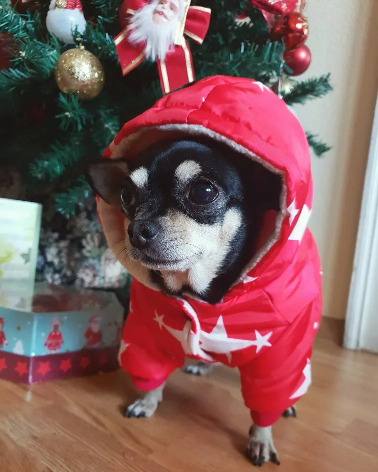 Pets Dog Clothes - Cotton Winter Warm Thicken Hoodie for Puppies