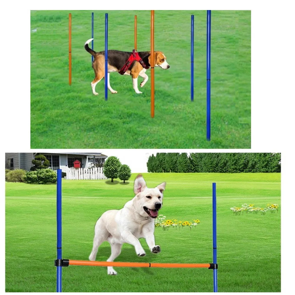 Pet Dog Agility Equipment Set Kit Obstacle Training Kit Dog Agility Rods Jump Running Hurdle 7pcs Poles 60cm Dia Tunnel Trainer